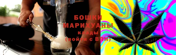 ПСИЛОЦИБИНОВЫЕ ГРИБЫ Осинники