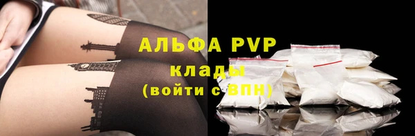 ПСИЛОЦИБИНОВЫЕ ГРИБЫ Осинники