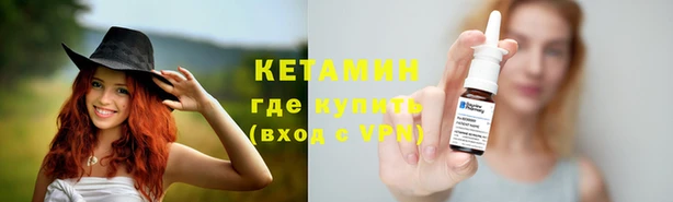 ПСИЛОЦИБИНОВЫЕ ГРИБЫ Осинники