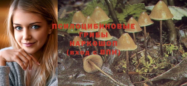 ПСИЛОЦИБИНОВЫЕ ГРИБЫ Осинники