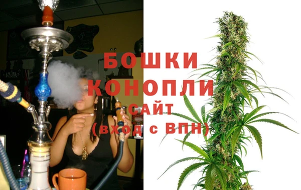 ПСИЛОЦИБИНОВЫЕ ГРИБЫ Осинники