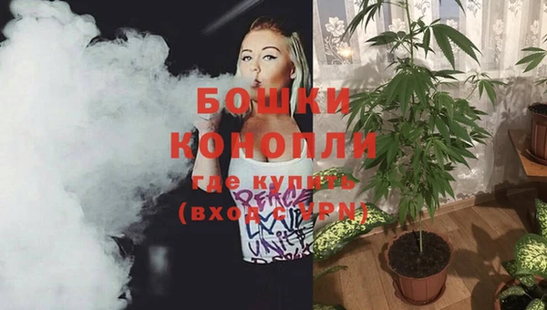 mix Пересвет