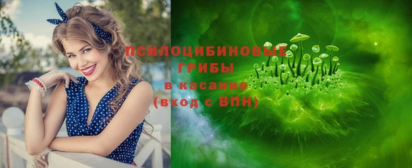 mix Пересвет