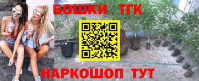 эйфоретик Берёзовский