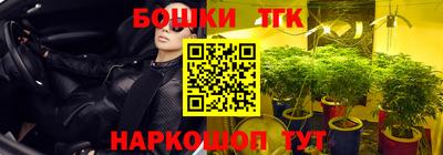 эйфоретик Берёзовский