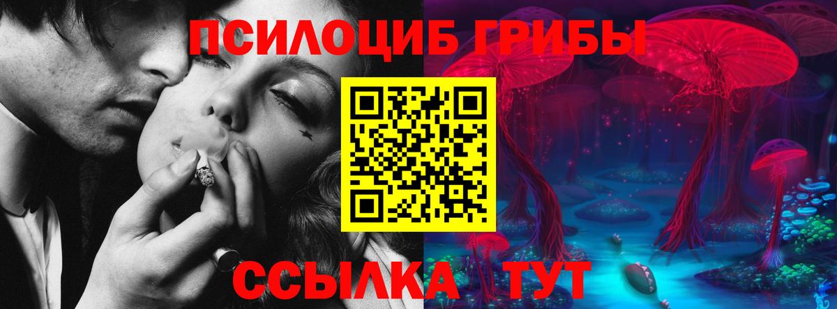 Псилоцибиновые грибы мицелий Богородск