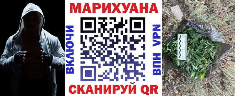 Марихуана сатива  omg ссылки  Богородск 